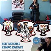 Clases particulares y grupales de Kenpo Karate para niños y adultos ,especializadas en defensa personal
